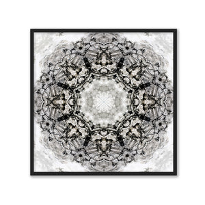 Black White Kaleidoscope II - NAN