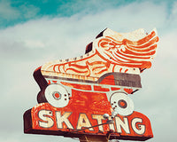 Retro Skating - DANITA DELIMONT