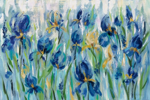Iris Flower Bed - SILVIA VASSILEVA