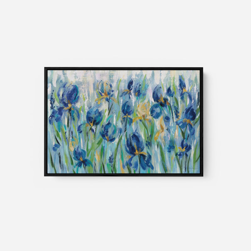 Iris Flower Bed - SILVIA VASSILEVA