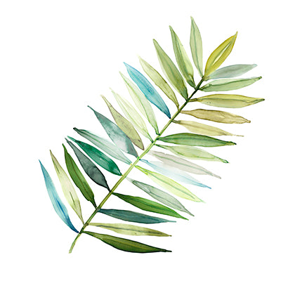 Palm Frond II - CAROL ROBINSON