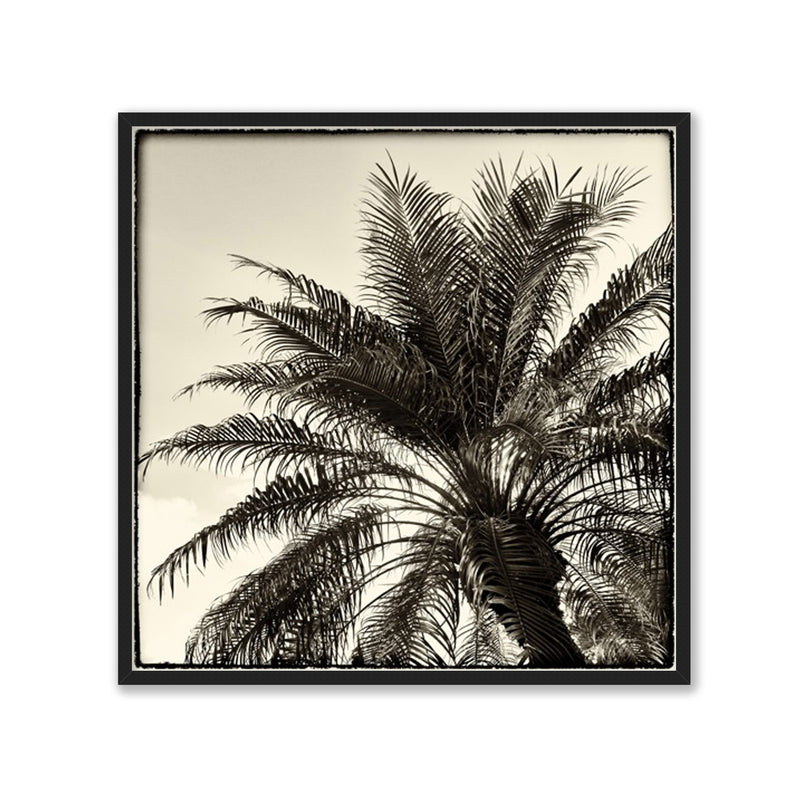 Palm Tree Sepia I - DEBRA VAN SWEARINGEN