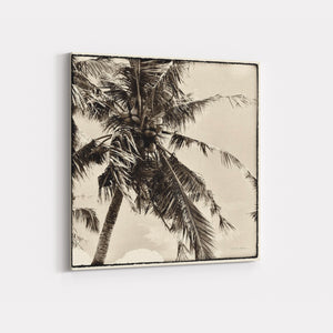 Palm Tree Sepia II - DEBRA VAN SWEARINGEN