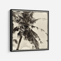 Palm Tree Sepia II - DEBRA VAN SWEARINGEN
