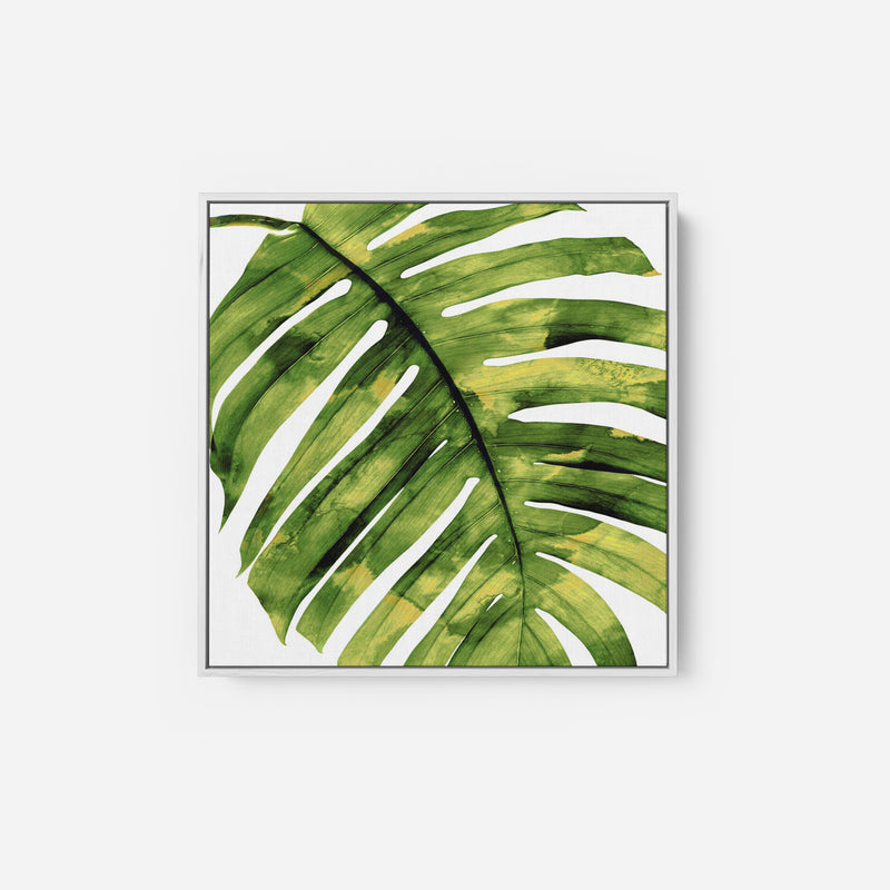 Tropical Palm II - MELONIE MILLER