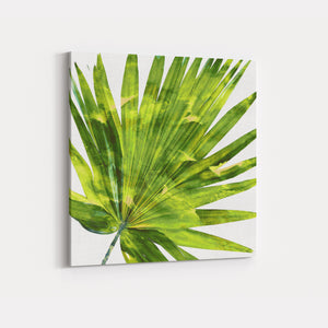 Tropical Palm IV - MELONIE MILLER