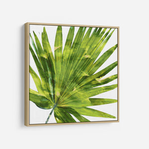 Tropical Palm IV - MELONIE MILLER